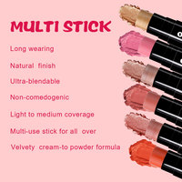 OCHAIN Nouvelle Usine Personnaliser Votre Logo Marque Privée Maquillage Mat Rose Crémeux Blush Bâton