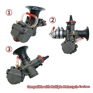<span class=keywords><strong>Carburador</strong></span> de Alto Flujo de Doble Cuerpo YD28 30 para Motocicleta, Scooter y Kart de 125-250cc, Tuning Posventa con Accesorios de Instalación - Product Image 3
