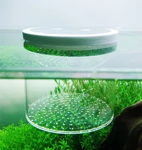 Caja de aislamiento flotante de acrílico, Fondo de malla, cajas pequeñas para pecera Tropical Marina transparente