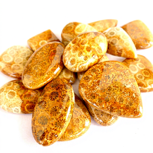 หินปะการังอัญมณีทรงหลวมธรรมชาติสำหรับจี้สร้อยคอต่างหู - Product Image 1
