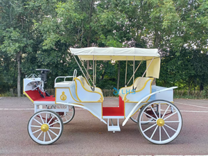 Carruaje de caballos al aire libre real de lujo europeo completo/vehículo de caballos de tráfico turístico/carro de caballos eléctrico de turismo a la venta - Product Image 4