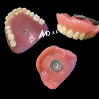 Prothèse complète de qualité supérieure - Restauration complète des dents d'apparence naturelle, prothèse complète en acrylique |   pour les laboratoires ou les cliniques | Fabriqué dans le Guangdong