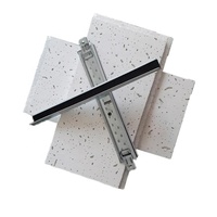 Placa de Fibra Mineral para Techo Falso, Diseño de Techo de 2x2 y 2x4
