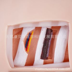 Modèle de drainage thoracique KBS/XQ, simulateur de formation au drainage fermé du pneumothorax - Product Image 3