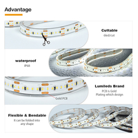 PERFECT SMD 2835 Bande lumineuse LED transparente en PU personnalisée à haute luminosité, étanche IP68, éclairage paysager Wi-Fi Ra90