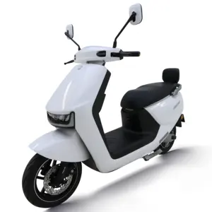 Satışa Tailg çin güçlü lityum pil ile 1600W 2000W yetişkin elektrikli Moped Scooter
