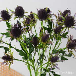 Laixing Fleurs artificielles en plastique de type Sea Holly, pour arrangements floraux, décoration de mariage, décoration intérieure et accessoires de photographie - Product Image 2