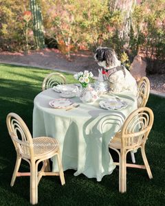 เก้าอี้เด็กหวายทำมือระดับพรีเมียม ดีไซน์ทันสมัย ปลอดภัย ทนทาน เป็นมิตรกับสิ่งแวดล้อม เฟอร์นิเจอร์สำหรับเด็ก เหมาะสำหรับห้องนั่งเล่นและใช้งานกลางแจ้ง - Product Image 1