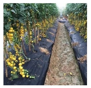 Nhà Máy Giá thấp màu đen Cỏ Repellent vải Weed rào cản vải địa kỹ thuật Weed kiểm soát vải nông nghiệp Cỏ bao gồm vải - Product Image 2