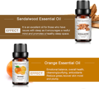Aceite Esencial de Lavanda 100% Puro y Natural, 8 Aromas, 10 ml, Precio al por Mayor, Suministro del Fabricante, OEM, Navidad