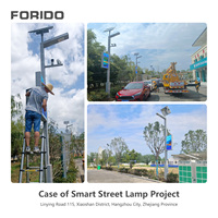 Farola Solar Inteligente FORIDO con Cámara CCTV Opcional, Pantalla LED y Otras Funciones para Proyectos de Alumbrado Público