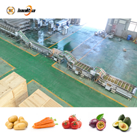 Industrielle Taro-Gemüsewaschanlage, Apfelwaschmaschine, Gemüsereiniger, Tomatenwaschmaschine, Frischobst-Reinigungslinie