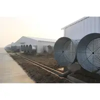 China Prefab Stalen Frame Portal Frame Stalen Structuur Kip Huis Pultry Farm Building