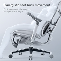 Chaise de bureau ergonomique SIHOO DORO S300 avec dossier haut en maille, accoudoirs confortables et design réglable pour ordinateur