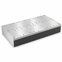 Radiateur en aluminium extrudé de grande taille à ailettes haute densité pour module IGBT d'onduleur haute puissance
