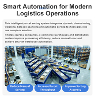 Línea de Cinta Transportadora GOSUNM H230334 con Dimensionamiento Dinámico DWS y Escaneo Superior para Automatización Logística 3000 PPH