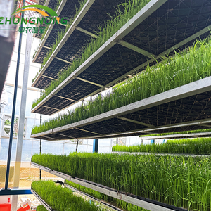 Sistema de Cultivo Vertical para Forraje, Césped, Arroz y Plántulas con Sistema de Riego en Invernaderos - Product Image 4