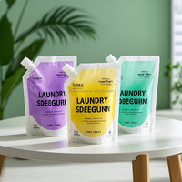 Support en plastique recyclable Doypack savon liquide 150ml 250ml 500ml 32 FlOz savon pour les mains et détergent à lessive avec bec verseur pour masques faciaux