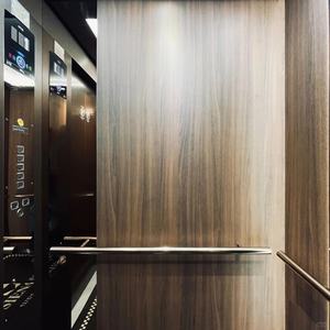 Ascenseur personnel hydraulique sans engrenage FUJI HK, fabricant chinois, pour 6 personnes, pour villa, hôtel, appartement - Product Image 1