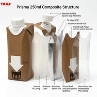 Carton en papier aseptique multicouche en forme de prisme de 250 ml pour lait, jus et boissons, compatible avec les machines de remplissage automatiques, impression personnalisée