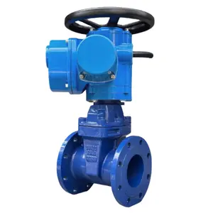 Factory Manufacture RVEX-16Q Class 300 B16.5 Lathe Machine Stainless Steel Class150 25mm Plastic 3/4 Pex Gate Valve