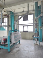 Moulin Électrique Haiyun pour Manioc, Maïs, Blé et Ligne de Traitement de Poudre d'Igname, Moteur 380V Haute Capacité, Garantie 2 Ans