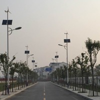 Générateur éolien de surveillance de lampadaires 100W, système d'éclairage complémentaire éolien-solaire à énergie nouvelle 12V/24V/48V, fibre de nylon, sans