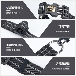 Reflektieren des verstellbares Haustier halsband mit gravierter ID-Platte Personal isiertes Logo Nylon-Hunde halsband Basic Durable D Ring <span class=keywords><strong>Cat</strong></span> Neck Collar - Product Image 5