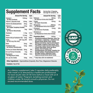 Bouteilles de suppléments à base de plantes Marque privée Nootropiques Supplément cérébral pour la mémoire et la concentration - Product Image 4