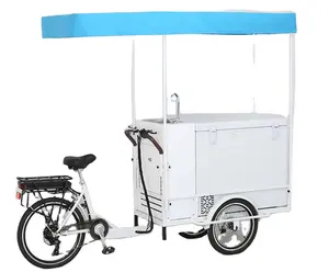 OEM Freezer Bike Electric Pedal Ice Cream Tricycle With Battery Freezer Cargo Truck For Cold Drinks Ice Cream Vending