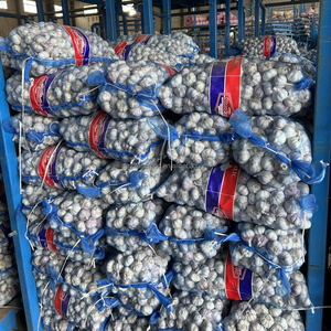 Ajo 2026, Tamaño 5.0 5.5cm, Empaque de 10kg 20kg, Marca Sinofarm, Ajo para el Mercado Africano - Product Image 3