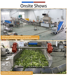 Línea de Procesamiento Automática de Vegetales de 0.5-2t/h, Línea Comercial para Lavado, Corte y Secado de Verduras de Hoja Verde - Product Image 2