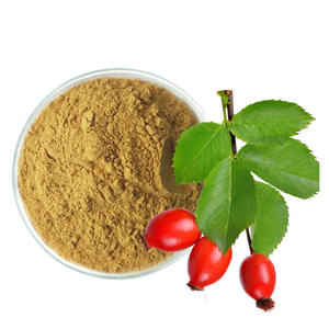 Extracto de Rosa Mosqueta en Polvo Soluble en Agua, Materia Prima de Grado Alimenticio - Product Image 1