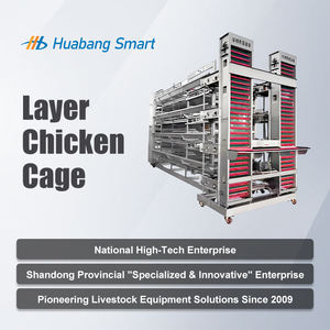 <span class=keywords><strong>Cage</strong></span> de poulet de couche d'économie d'espace avec la conception à trois niveaux et les systèmes automatiques - Product Image 2