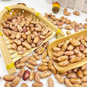 ถั่วขาวแห้งออร์แกนิคผลิตจากโรงงาน - Product Image 5