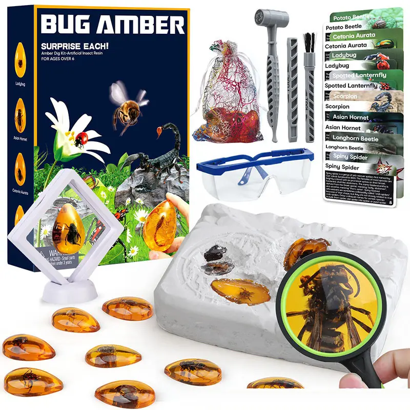 2023 New Arrival Bug Hổ Phách Hóa Thạch Đào Đồ Chơi Khoa Học Khảo Cổ Khai quật Mù Hộp Giáo Dục Đồ Chơi Kit Cho Trẻ Em