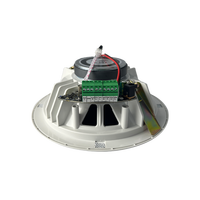 Module amplificateur Bluetooth personnalisé pour haut-parleur de plafond, mode amplificateur de puissance DIY