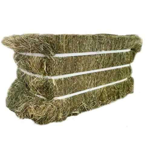Compressed Dried Berry Hay Additive Protein Feed for Horses Cattle Goats Sheep Camels Cows