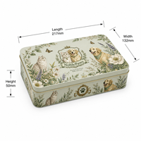 Boîte en métal rectangulaire personnalisée de qualité alimentaire pour biscuits, chocolats, aliments pour animaux de compagnie, emballage en métal avec couvercle, vente en gros