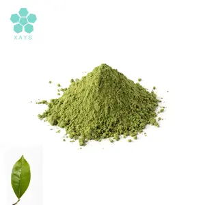 Poudre de thé vert matcha de qualité certifiée biologique de qualité 3A