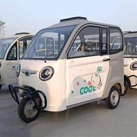 Tricycle électrique entièrement fermé pour adultes, scooter de mobilité à 3 roues, tricycles électriques chinois pour adultes sans permis