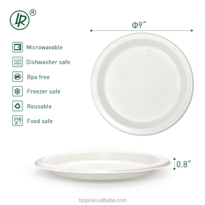 Nuovo Prodotto LR: Piatti Monouso in Plastica da 9 Pollici per Fast Food, Moderni Piatti Rotondi in PP5 per Feste - Product Image 2