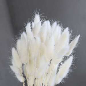 LUYI - Déstockage direct usine : Fleurs séchées du Yunnan, Herbe queue de lapin, Fleur éternelle 035, Queue de lapin, <span class=keywords><strong>Sac</strong></span> transparent OPP - Product Image 6