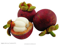 Poudre d'extrait de mangoustan en gros, xanthones et mangostine standardisées pour les produits de santé
