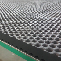 Tapis en caoutchouc à surface martelée de 2 mètres de large pour écuries, sols de clubs équestres, boxes de vaches, remorques à chevaux et boxes de transport