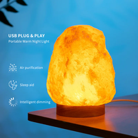 Lampe en sel rose de l'Himalaya naturel, 2 à 5 kg, lampe en cristal de sel rose fabriquée à la main, lumière d'ambiance nocturne pour la décoration de la maison