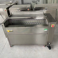 Automatische aardappel-, wortel- en gemberwasser en -schiller voor gember