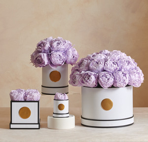 New Arrival 2025 Valentine's Immortal Flora Flowers Immortal Forever Large Pink Eternal Preserved <strong>Peonies</strong> Flower Wholesale Price - Product Image 5