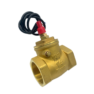 50W 220V 1A 고출력 황동 물 흐름 센서 스위치 1/<span class=keywords><strong>2</strong></span> "<span class=keywords><strong>3</strong></span>/4" 1 "물 펌프 자동 경보 용 <span class=keywords><strong>2</strong></span> 선 - Product Image 3