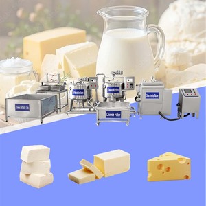Machine à fabriquer des fromages miniatures (Cheddar, Mozzarella, <span class=keywords><strong>Gouda</strong></span>, Feta) pour usine laitière, <span class=keywords><strong>prix</strong></span> de la machine à <span class=keywords><strong>fromage</strong></span> - Product Image 1